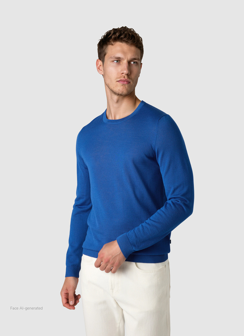 Pullover Rundhals 1/1 Arm width=