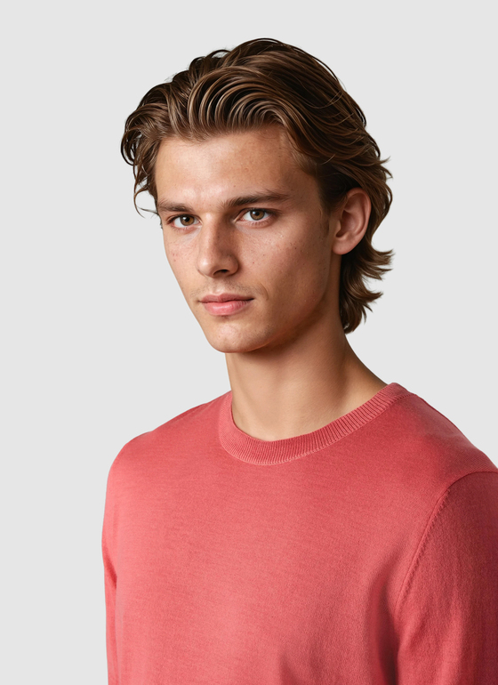 Pullover Rundhals Shiny Flamingo Frontansicht