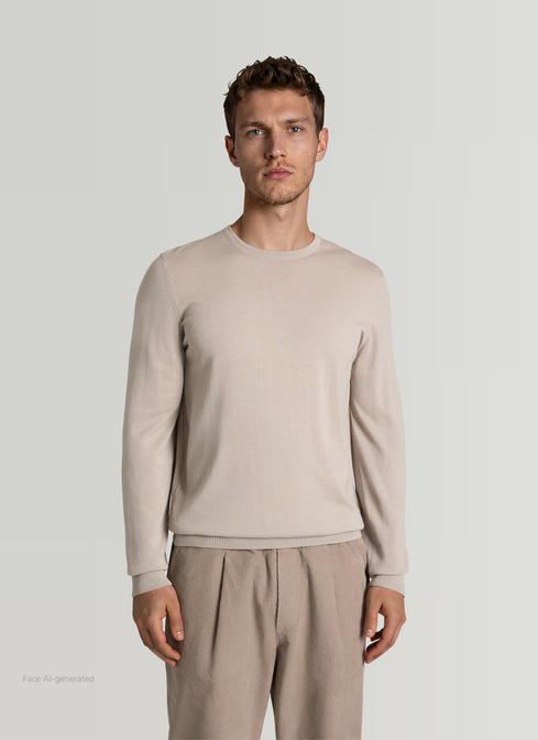 Pullover Rundhals 1/1 Arm width=