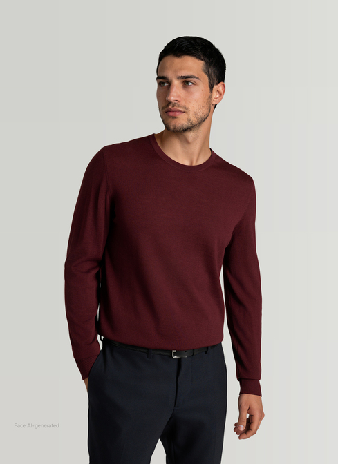 Pullover Rundhals 1/1 Arm width=