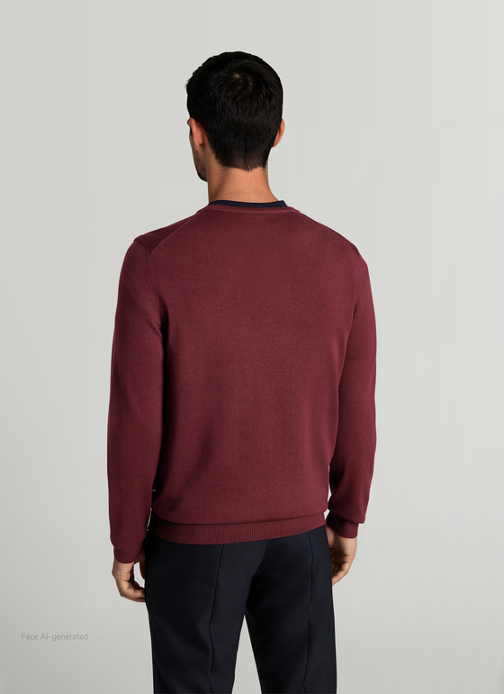 Pullover V-Ausschnitt 1/1 Arm Barolo Wine Frontansicht
