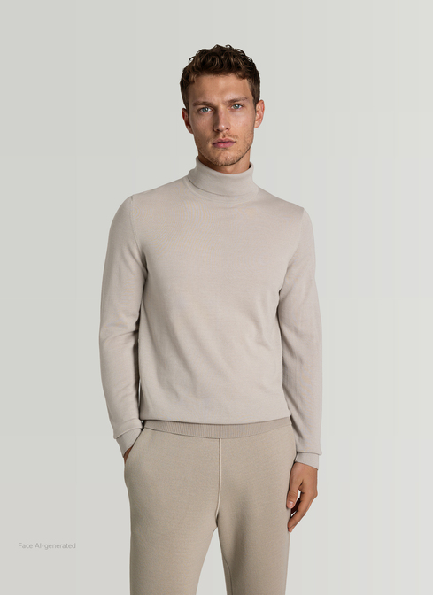 Pullover Rollkragen 1/1 Arm width=