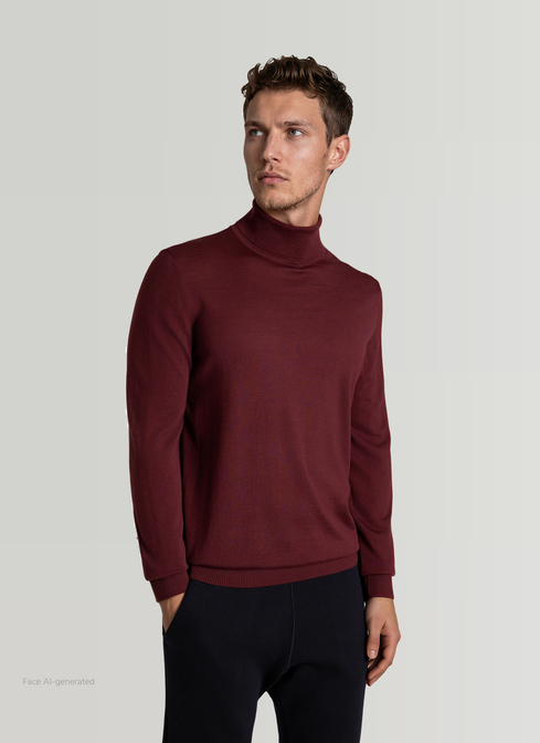 Pullover Rollkragen 1/1 Arm width=
