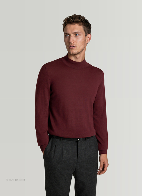 Pullover Rollkragen 1/1 Arm width=