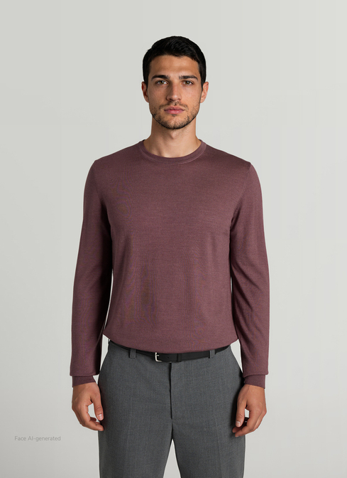 Pullover Rundhals 1/1 Arm width=