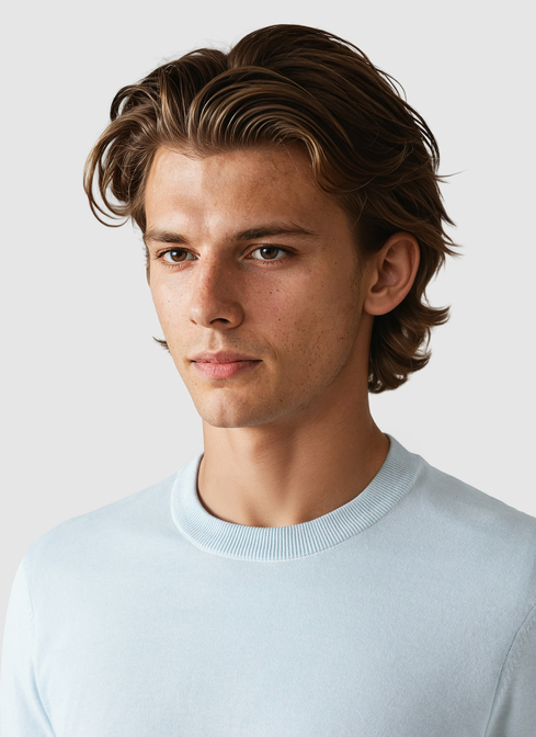 Pullover Rundhals 1/1 Arm width=