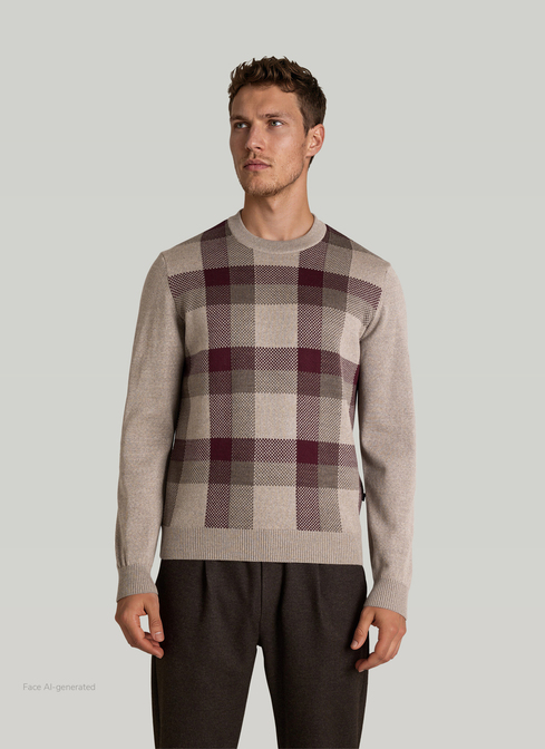 Pullover Rundhals 1/1 Arm width=