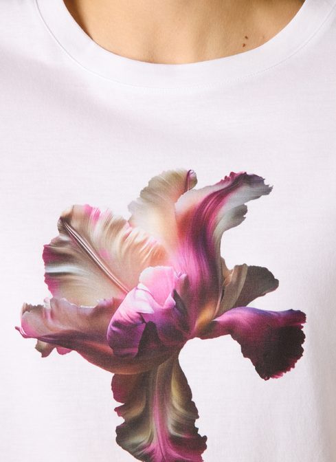 T-Shirt Rundhals 1/2 Arm width=