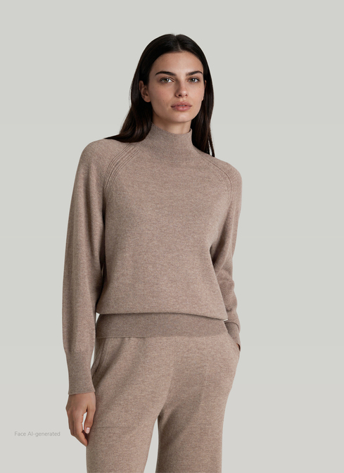 Pullover Stehkragen 1/1 Arm width=