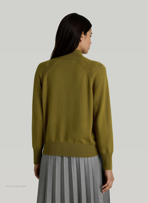 Pullover Stehkragen 1/1 Arm width=