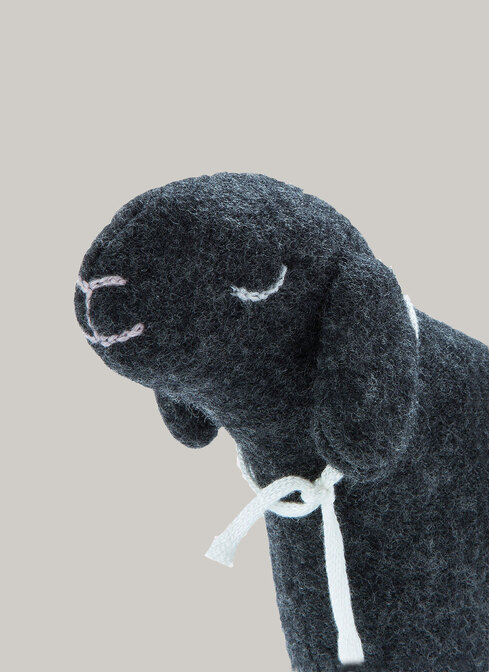Accessoires (sonstige) width=